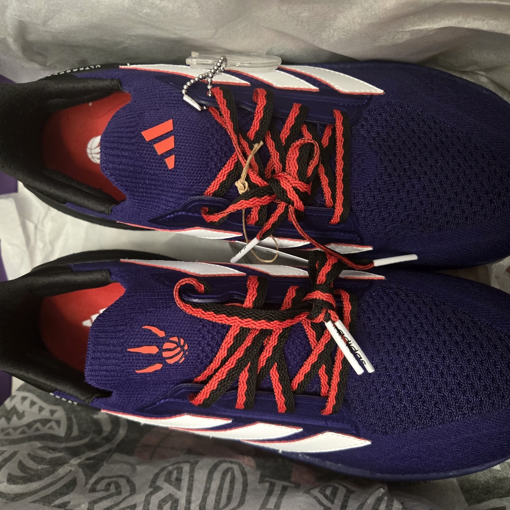 Raptors 30th Anniversary Shoes